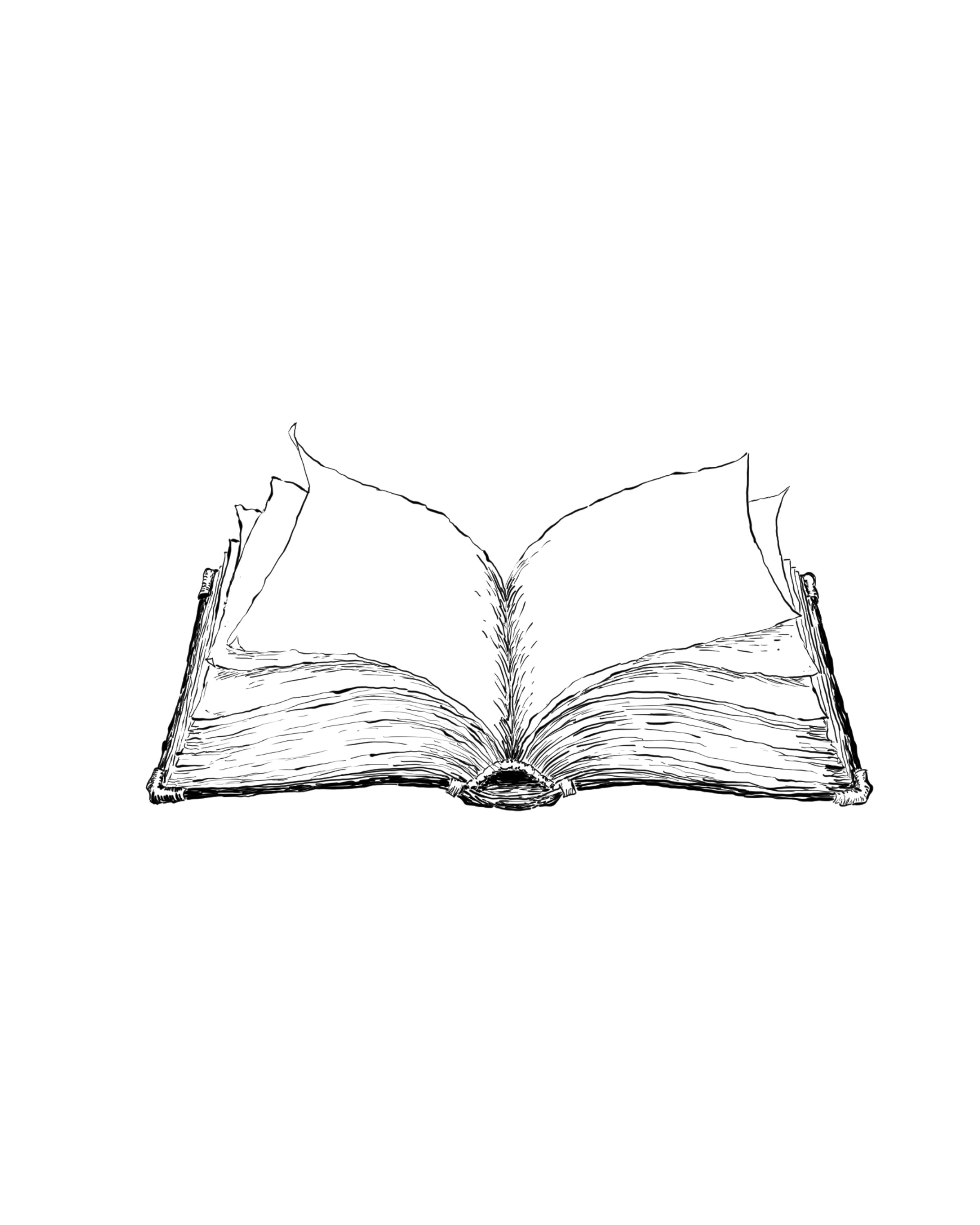 The original ink drawing of the book.